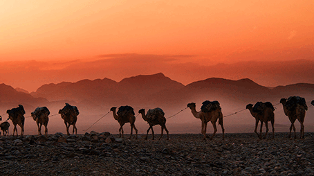 حياتي: أنشودة الخلود في السِّيرة الذَّاتية