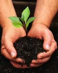 بركة الكلمة