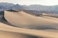 الجزيرة العربية "الحالة الفكرية والاجتماعية" عند ظهور الإسلام