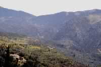 عرض الدعوة الإسلامية على القبائل