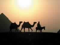 الثلاثة الذين خلفوا